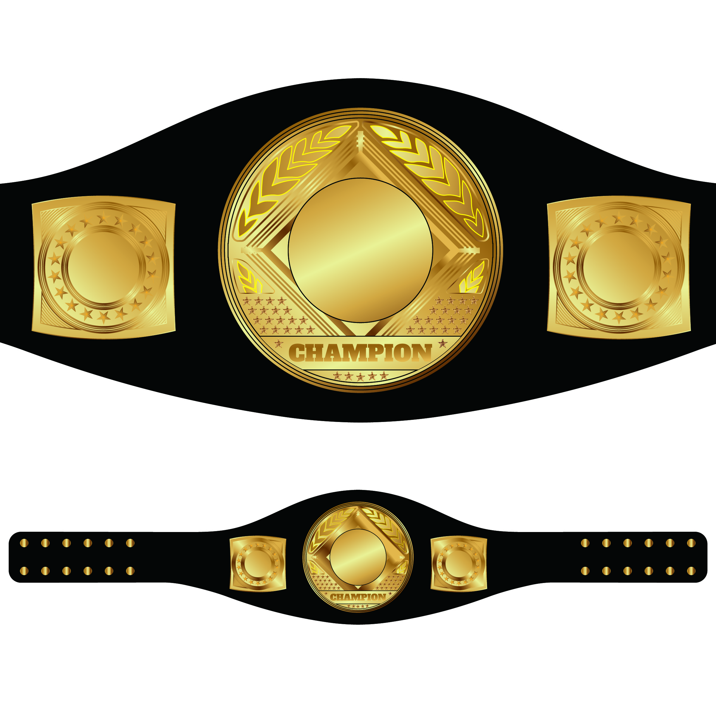 Championship Belt 002-1 Size