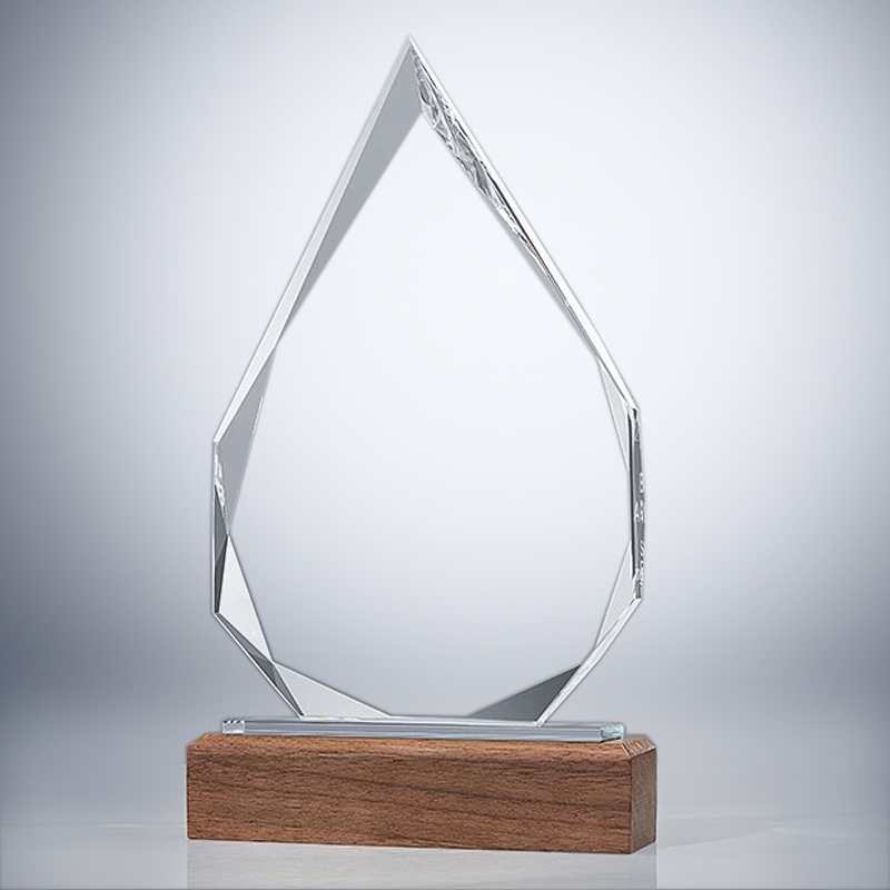 GCP2017 Glass Wood Trophy-1 Size - 副本